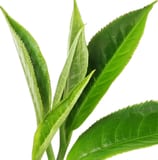 Chá Verde