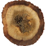 Oud