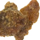Resinoide de Opopônax